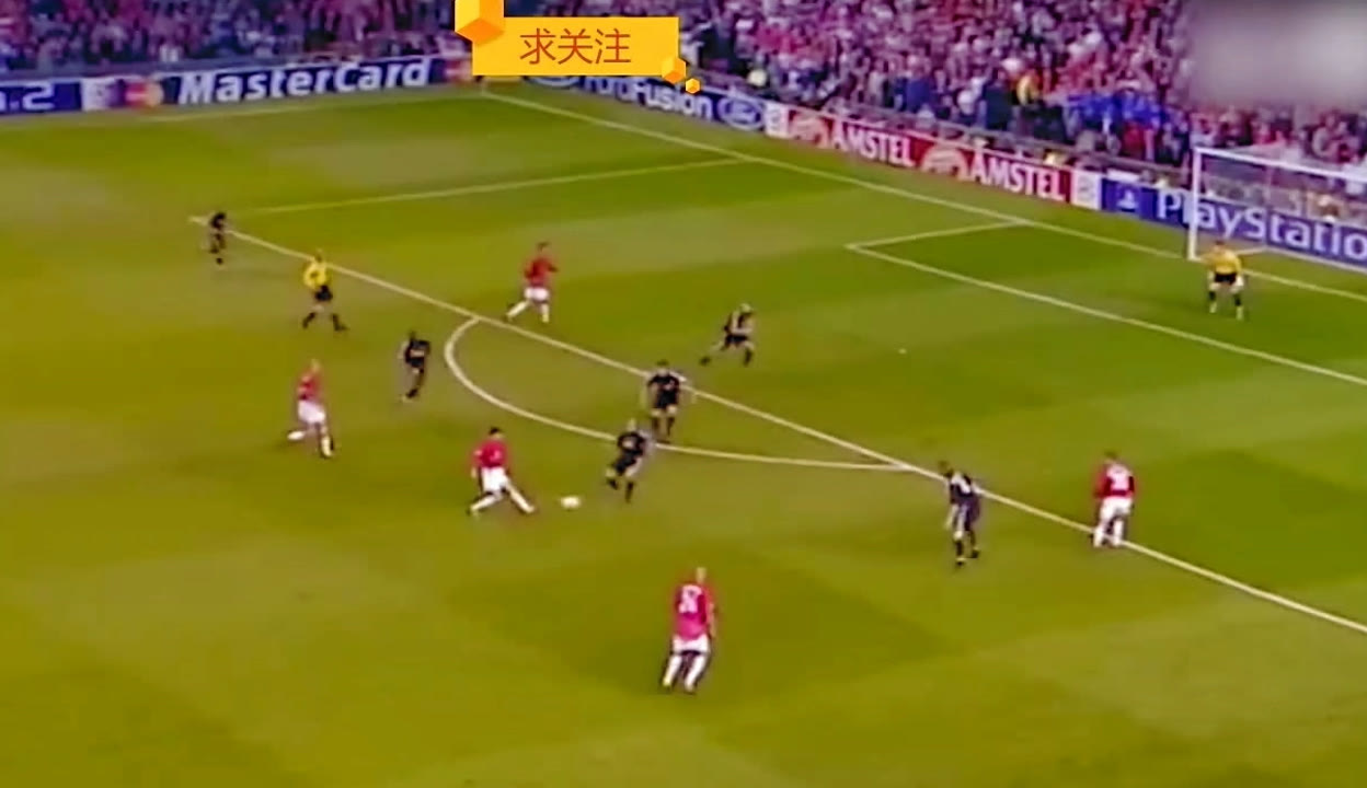 不仅证明了 不仅证明了