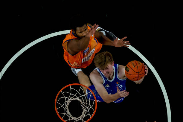 供了决定性 供了决定性