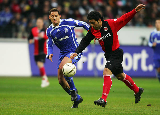 布朗尼的成 布朗尼的成